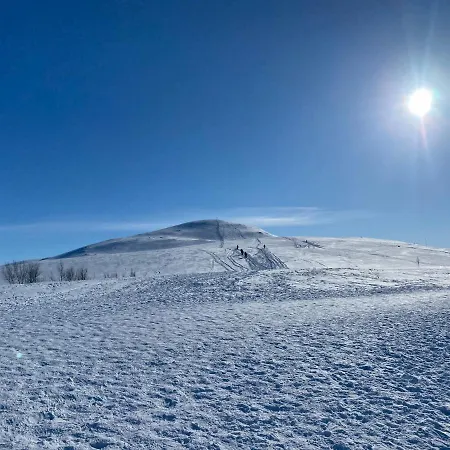 Aurora Very Close To Cable Car And Sherpatrappa * Tromsø